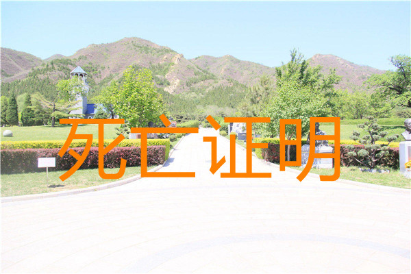 在医院死亡在哪里办            （死亡证的作用）